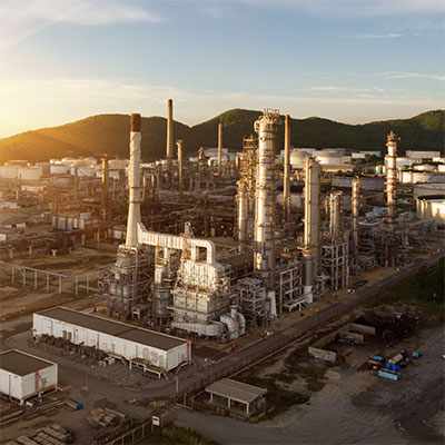 Incongruous feline nolo contendre gratuitous